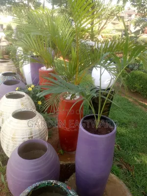 Cement Flower Pots