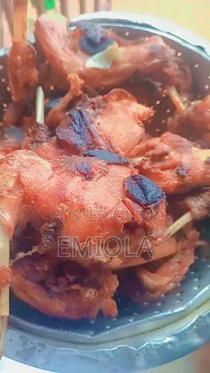 Grilled Rabbit Meat