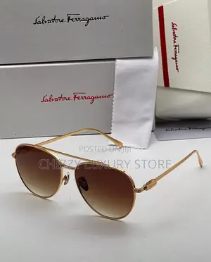 Salvatore Ferragamo Quality Men Sunglasses