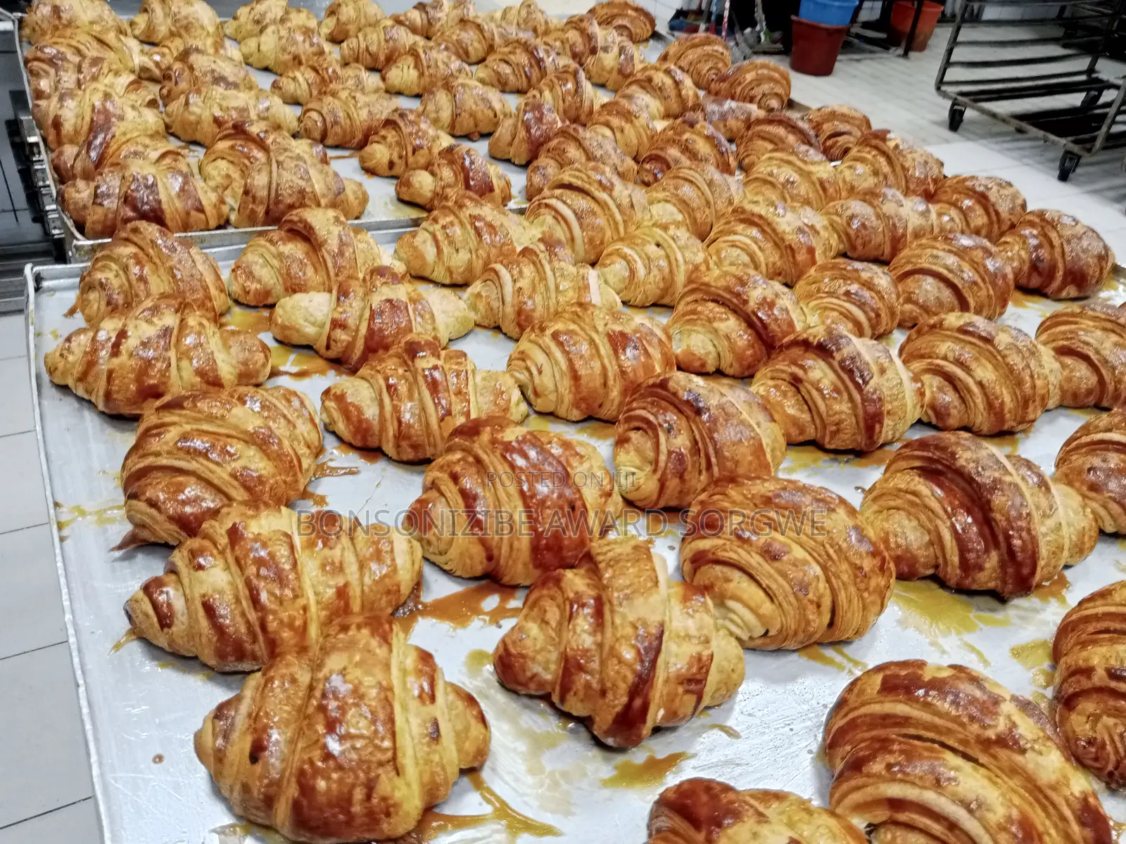 Bakery Chef/Consultant