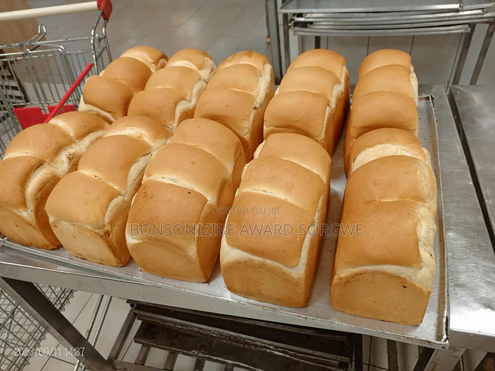 Bakery Chef/Consultant