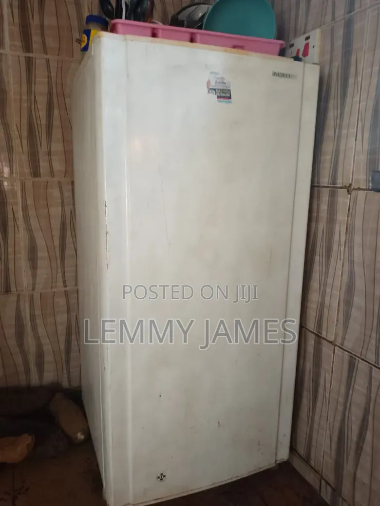 Samsung Fridge