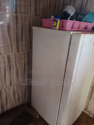 Samsung Fridge
