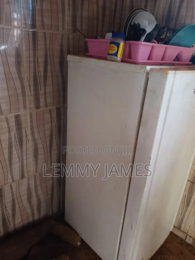 Samsung Fridge
