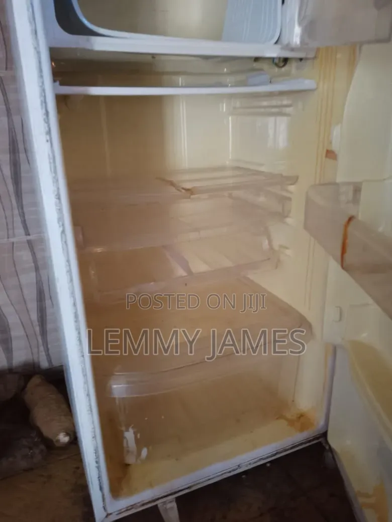 Samsung Fridge