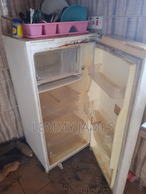 Samsung Fridge