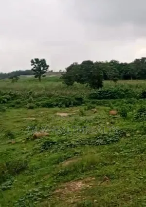 2 Hectares Public Institution Land at Asokoro