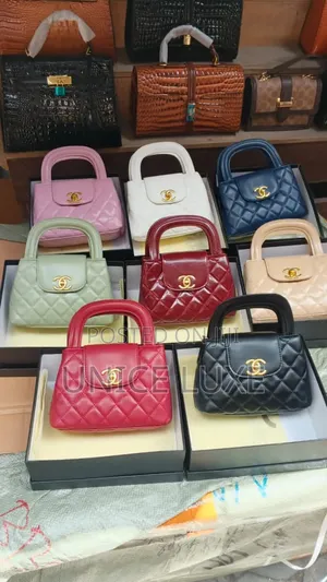 Luxury Mini Handbag
