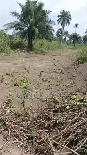 1 Plot of Land Available for Sale at Omagwa
