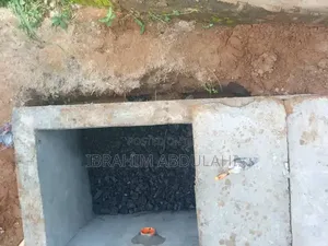 Biodigester Ecosystem