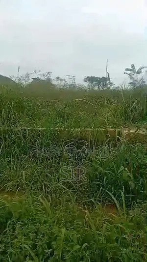 Fenced 50/100 for Sale in a Developed Location (Uho, Sapele Rd Bypass)