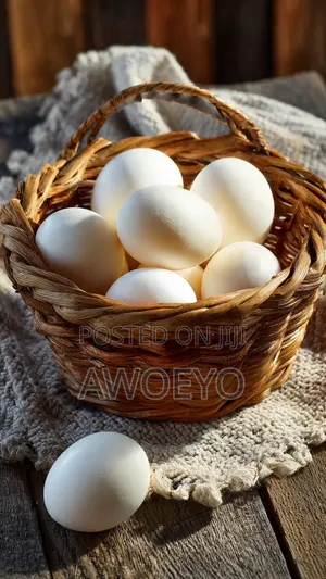 Farm Duck Eggs For Sale Or Grade A Duck Eggs For Sale