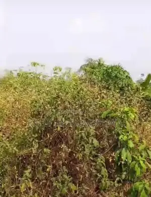 50/100 Landed Property for Sale