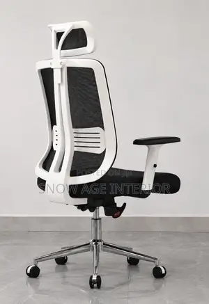 Aeromesh Executive Chair (Office / Working Chair)