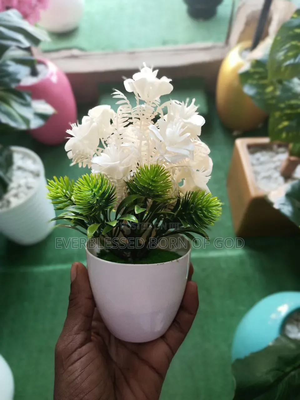 Indoor and Table Small Cup Flowers