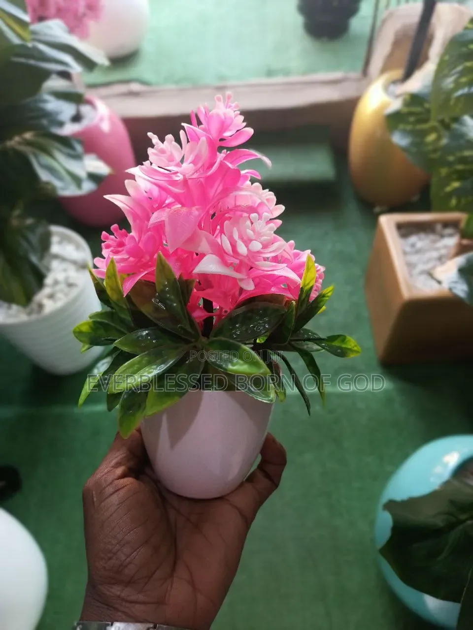 Indoor and Table Small Cup Flowers