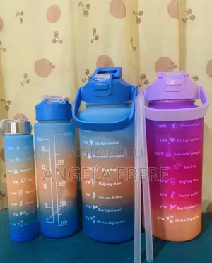 3 in 1 Water Bottle