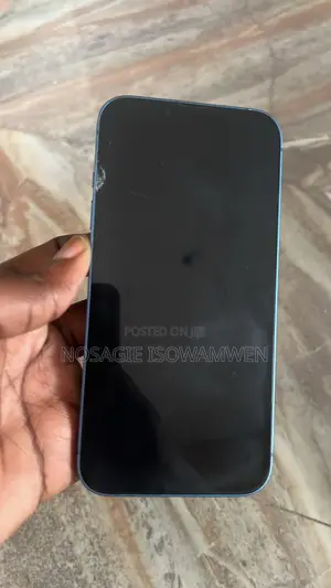 Apple iPhone 13 256 GB Blue