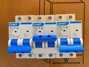 2pole Chint NXB-100 C100 Circuit Breaker