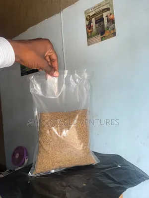 Alfalfa Seed 1 Kilogram