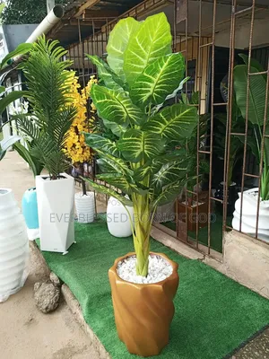 Twisted Gold Fibre Pot and Plant/Flower Combo, 5ft