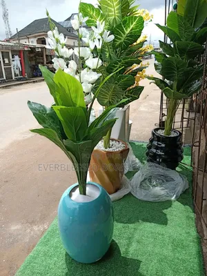 Fibre Pot and Flora Plant/Flower Available as Seen, 4ft