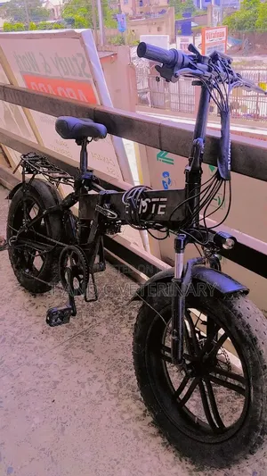 Foldable Electric Bike Bicycle