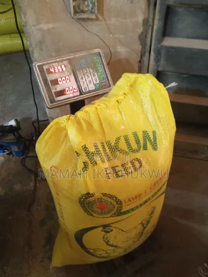 Ikb Nwa Ezike and Sons Enterprises