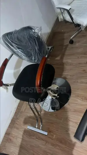 Salon Chair