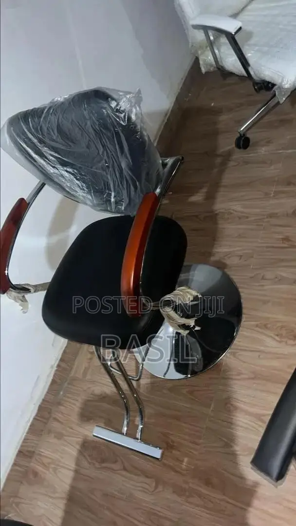 Salon Chair