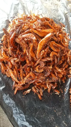 Dried and Fresh Snails, and Dried Perewinkles for Sales