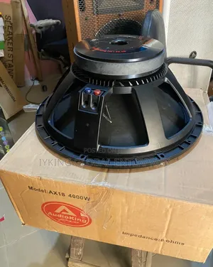 Audio King 18" Naked Speaker 100mm
