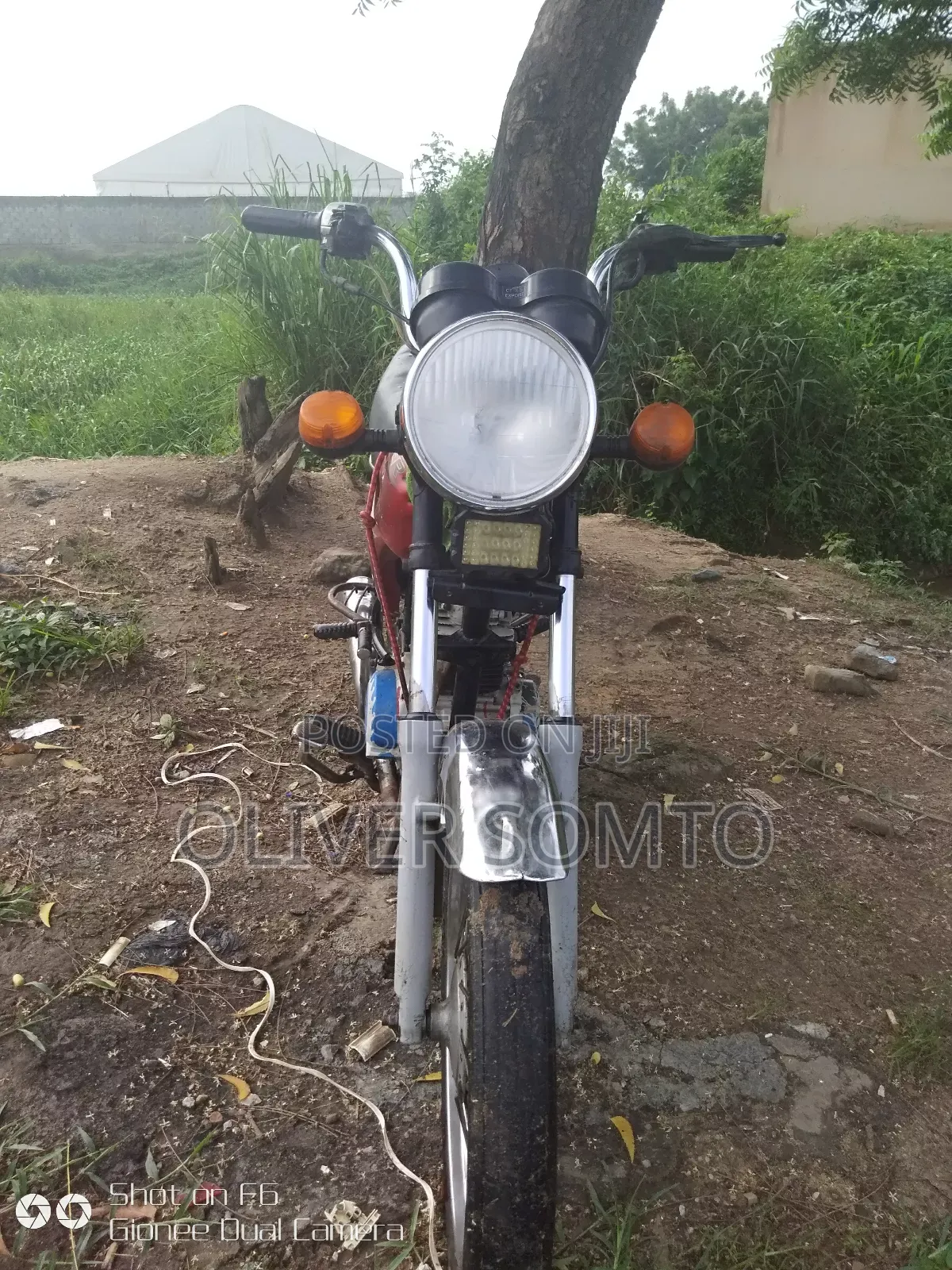 Bajaj Boxer 100 2024 Red