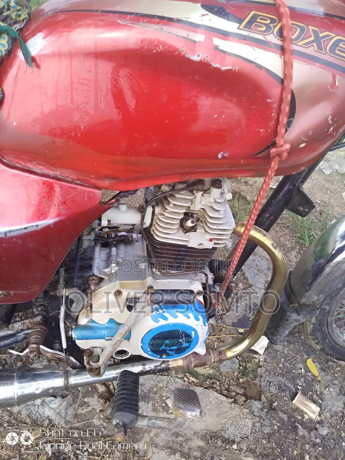 Bajaj Boxer 100 2024 Red