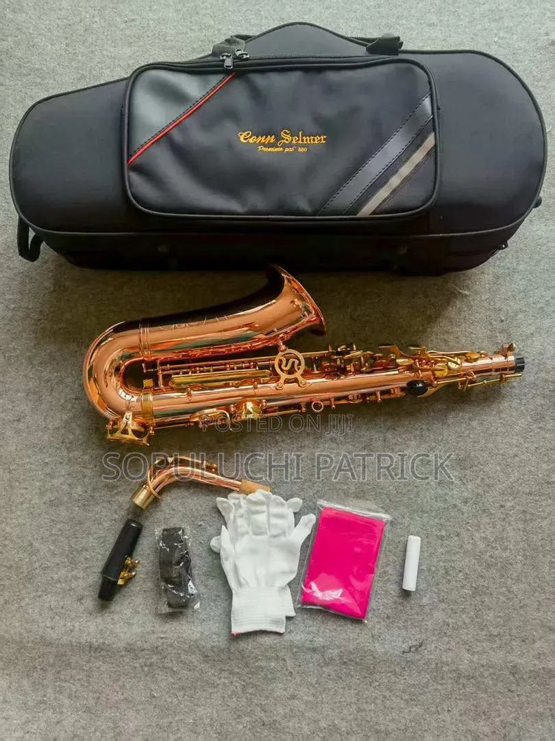 Professional Saxophone 