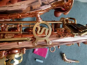 Professional Saxophone 