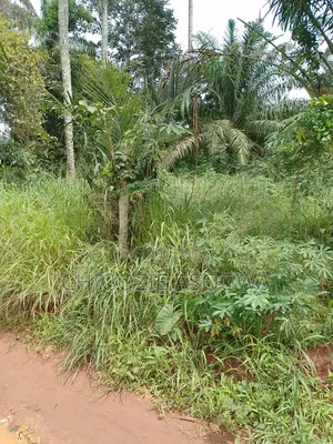 Half Plot for Urgent Sale
