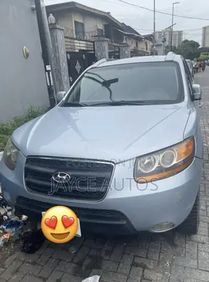 Hyundai Santa Fe 2008 Blue