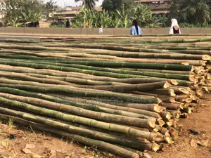 Construction Grade Bamboo Poles — Ajah/Lekki — Site Delivery Available