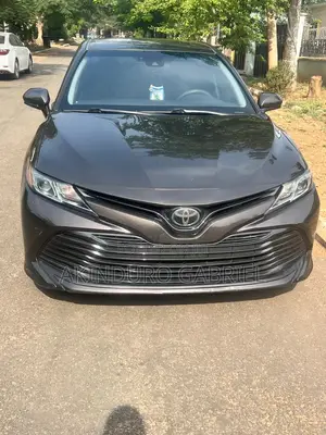 Toyota Camry LE (2.5L 4cyl 8A) 2019 Gray
