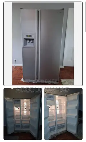 Samsung 3 in 1 Refrigerator and Freezer With Water Dispenser