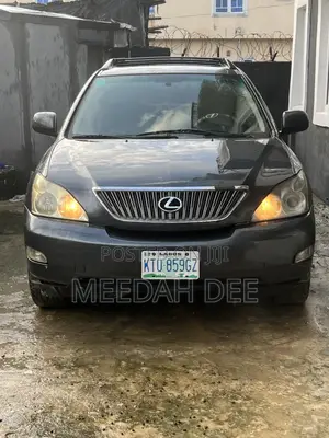 Lexus RX 330 2005 Gray