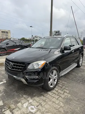 Mercedes-Benz M Class 2014 Black