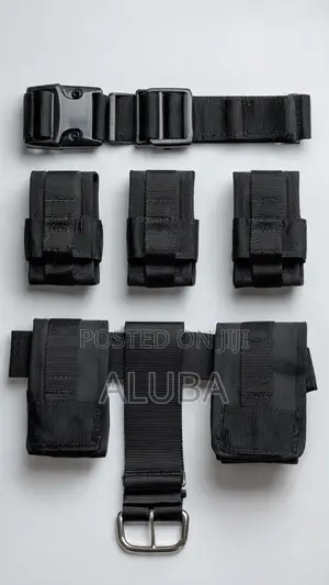 Security Belt