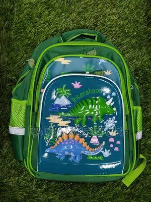 Children School Bag