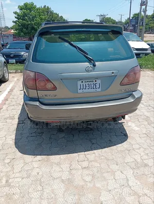 Lexus RX 2001 Gray