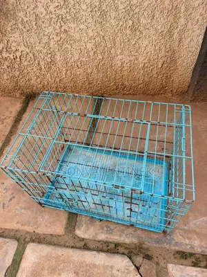 Collapsible Cage