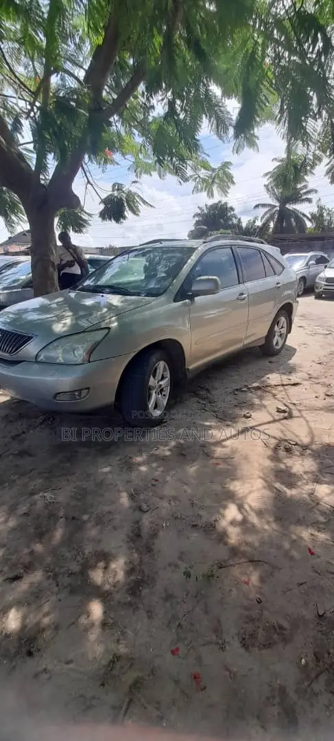 Lexus RX 330 2004