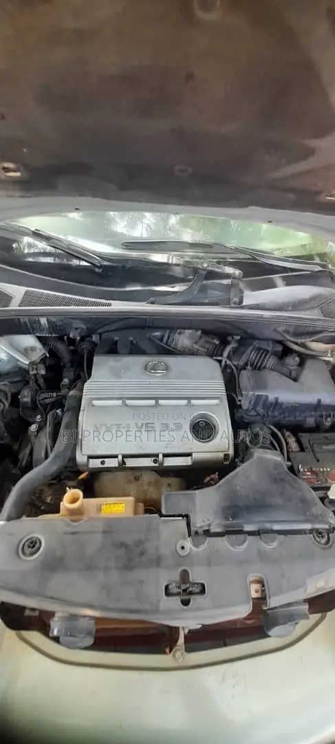 Lexus RX 330 2004