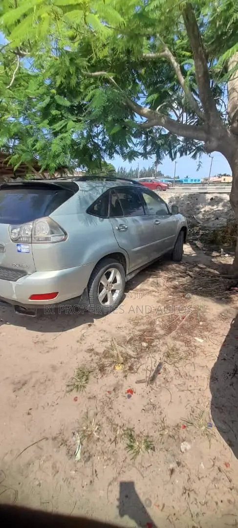Lexus RX 330 2004